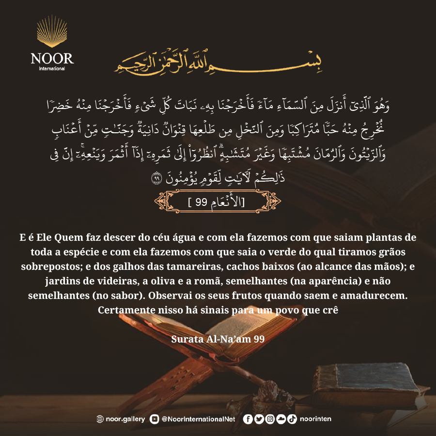 E é Ele Quem faz descer do céu água e com ela fazemos com que saiam..