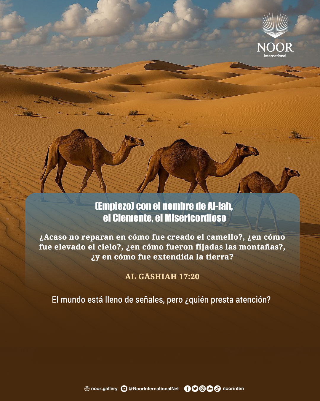 El mundo está lleno de señales, pero