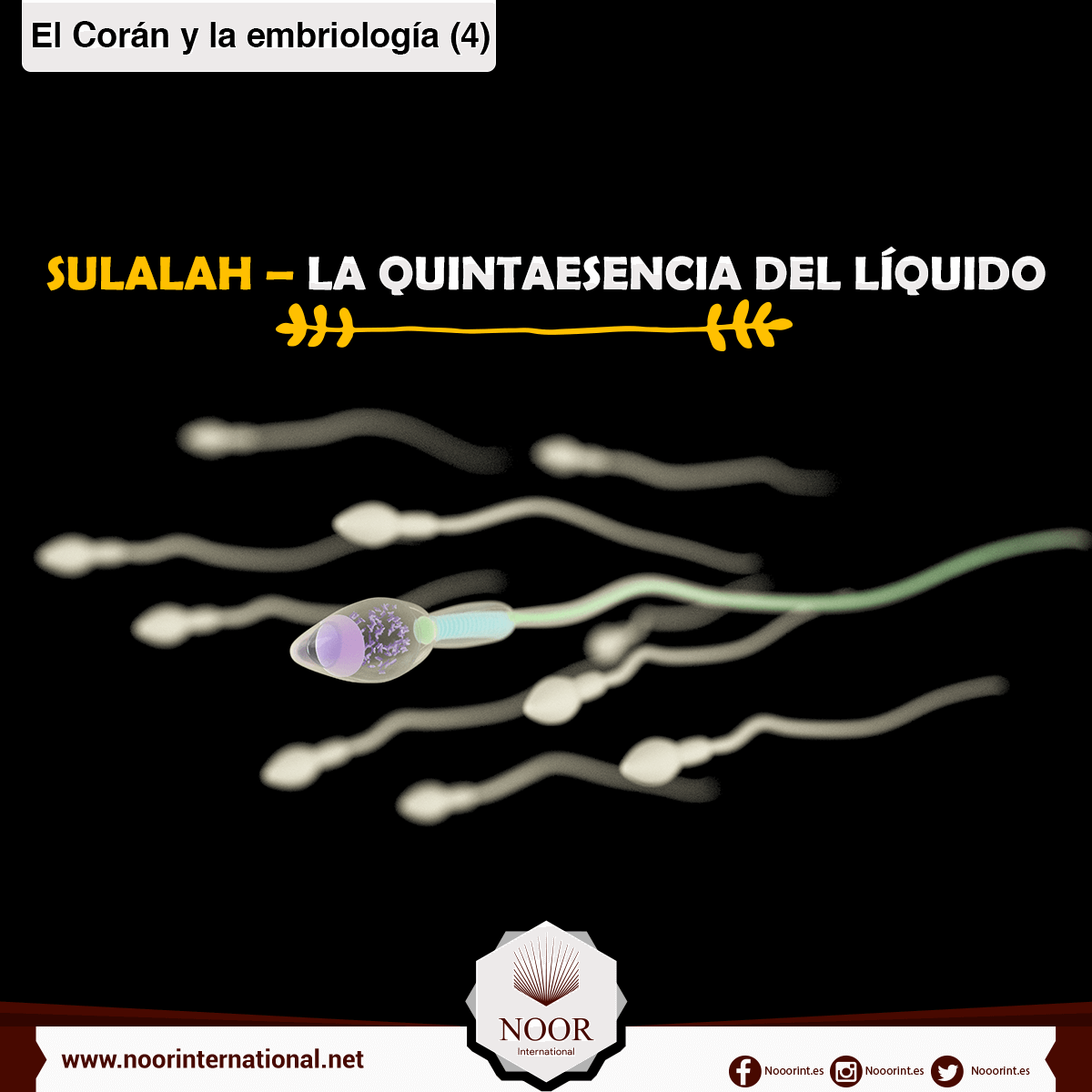 El Corán y la embriología: Sulalah, la quintaesencia del líquido