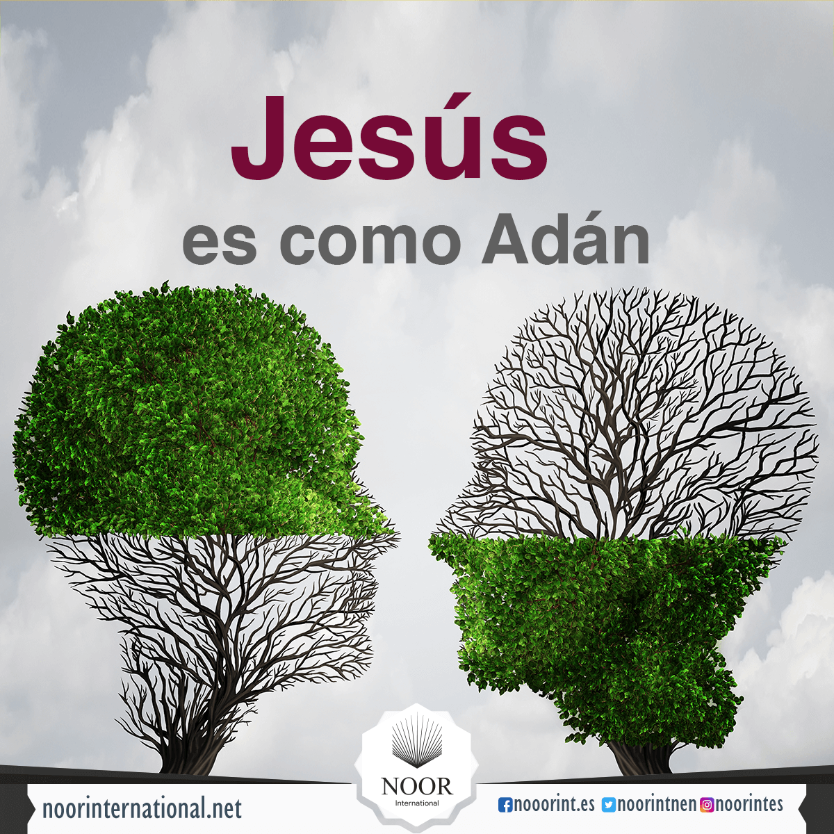 Jesús es como Adán