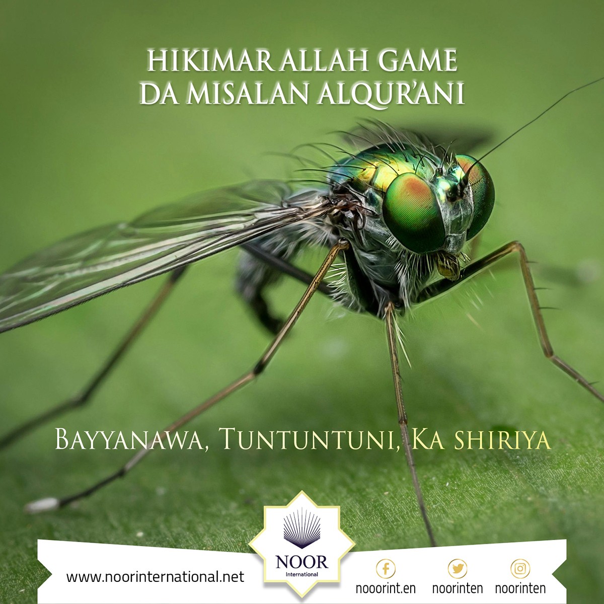 Hikimar Allah Game Da Misalan Alqur’ani:  Bayyanawa, Tuntuntuni, Ka shiriya