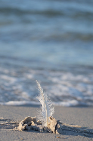 The Barzakh The Beginning of True Awareness