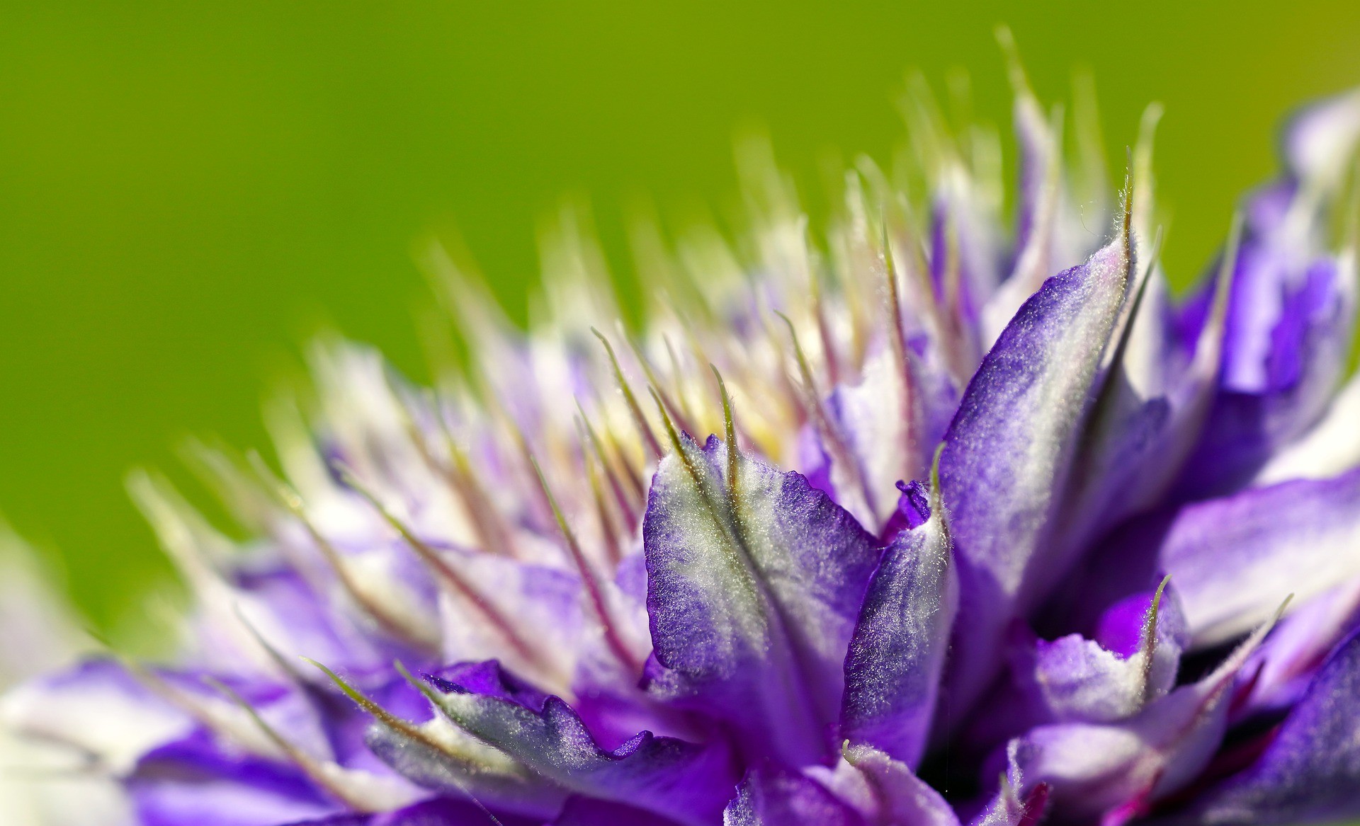 Una variedad de temas.