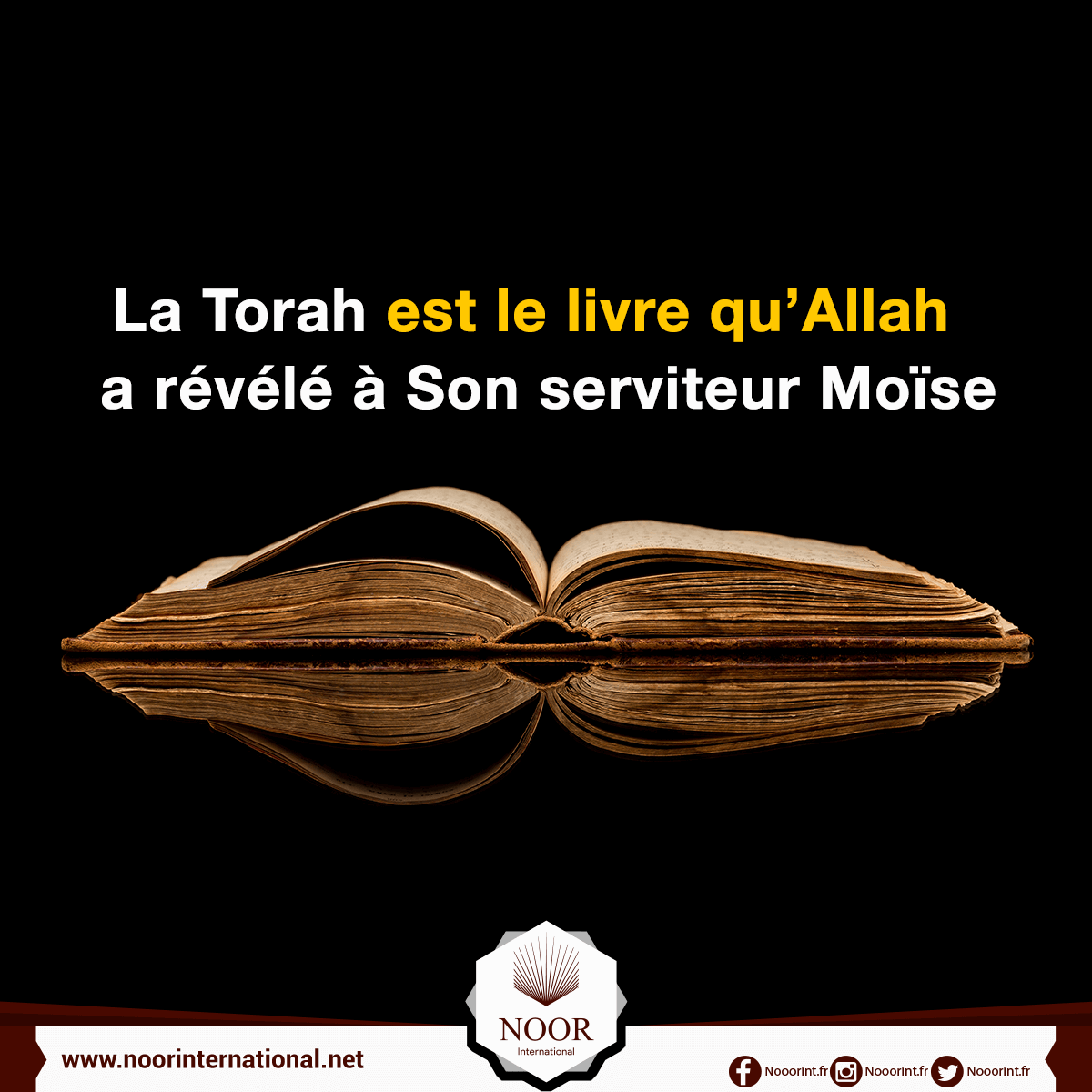 La Torah est le livre qu’Allah a révélé à Son serviteur Moïse