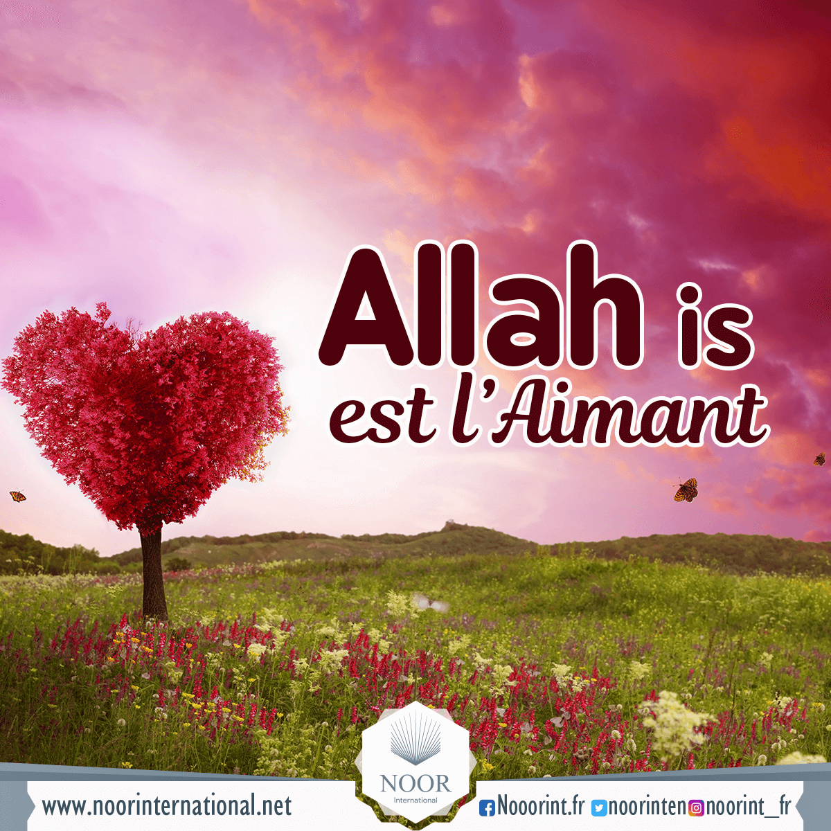 Allah est l’Aimant