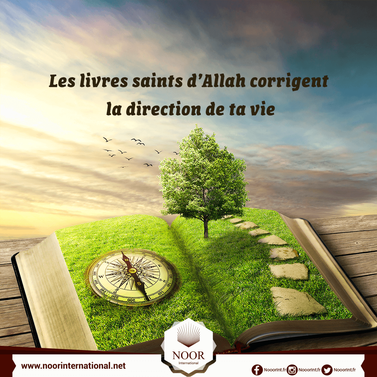 Les livres saints d’Allah corrigent la direction de ta vie