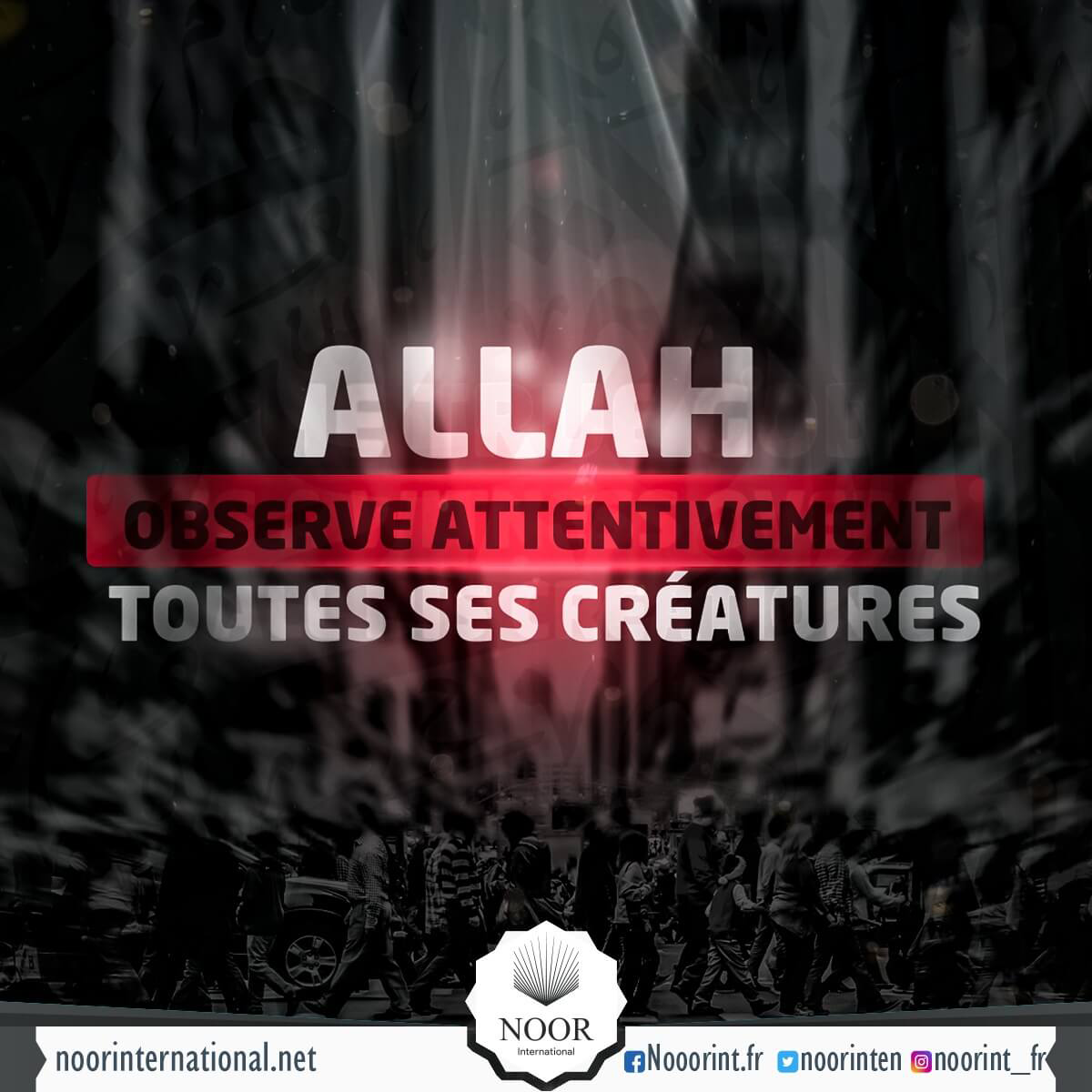 Allah observe attentivement toutes Ses créatures