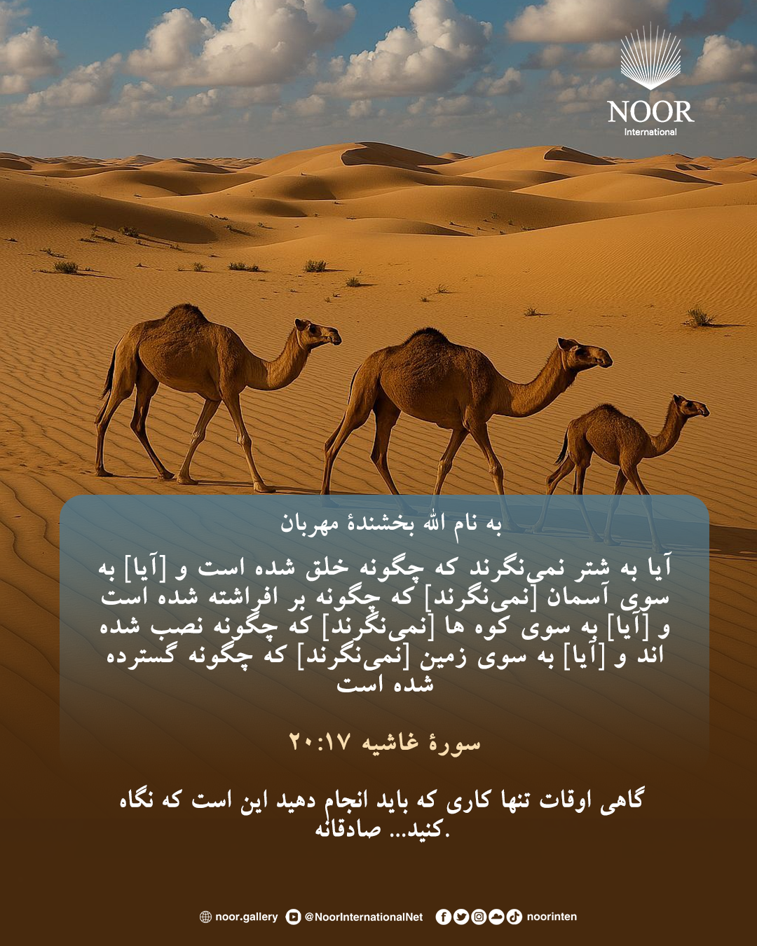 ​گاهی اوقات تنها کاری که باید انجام دهید این است که نگاه کنید...