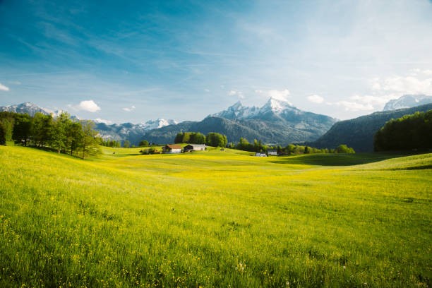 Bonheur dans le Coran