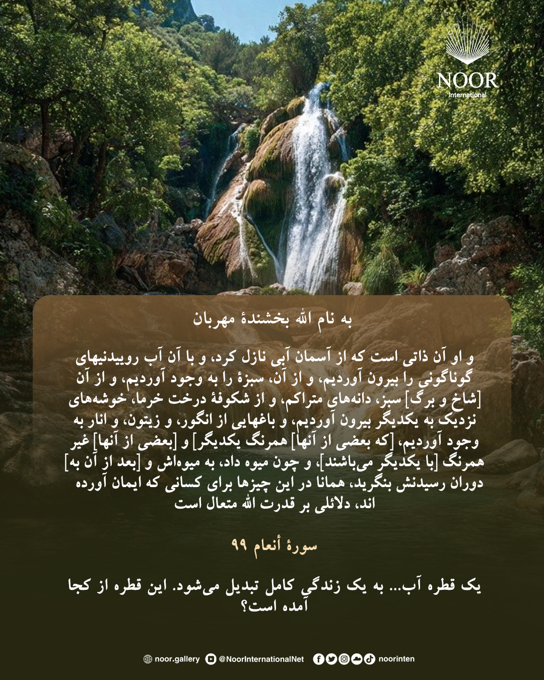 یک قطره آب... به یک زندگی کامل تبدیل می‌شود.