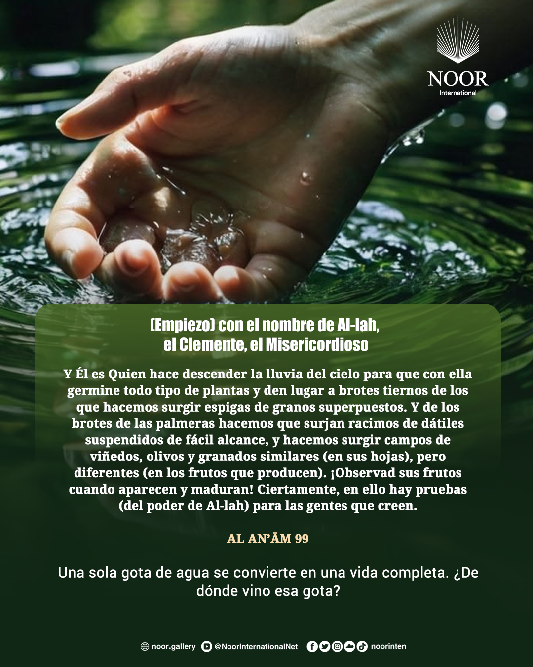 Una sola gota de agua se convierte en una vida completa.