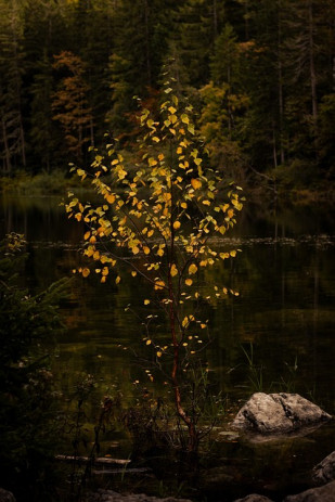 Korruption und Daʿwah: Zwei Wege, zwei Enden