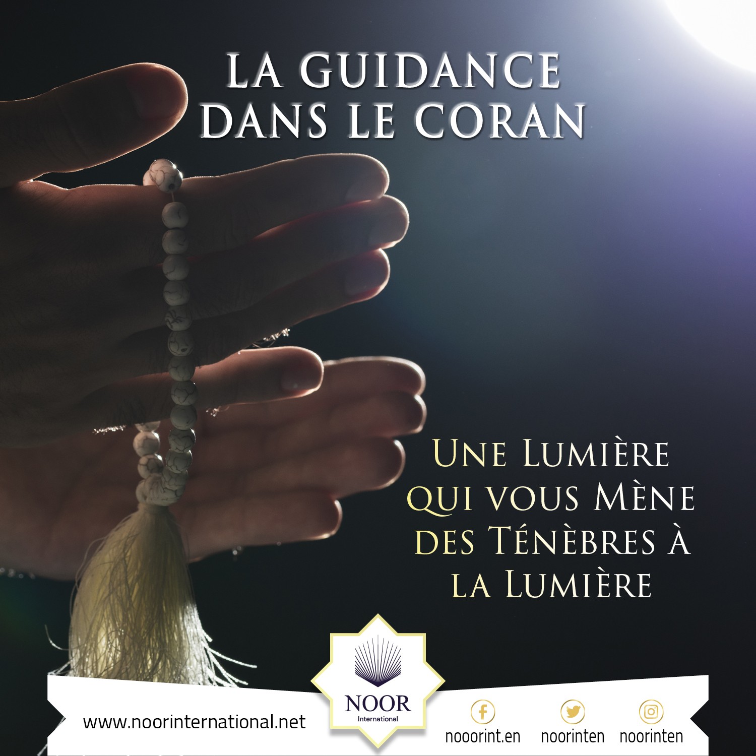La Guidance dans le Coran : Une Lumière qui vous Mène des Ténèbres à la Lumière"