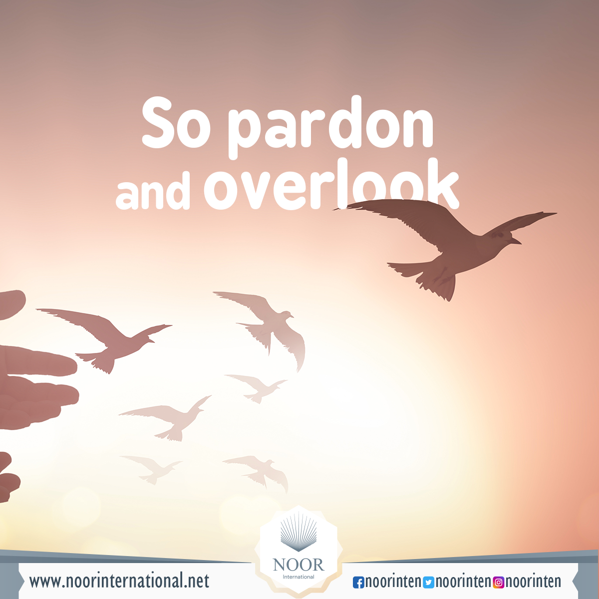 So pardon and overlook