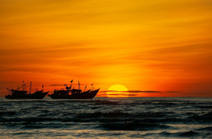 Suchst du das Licht? Denke über den Koran nach