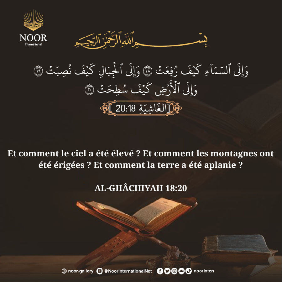 Ne voient-ils donc pas comment les chameaux ont été créés ?