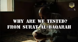 Why Are We Tested?
