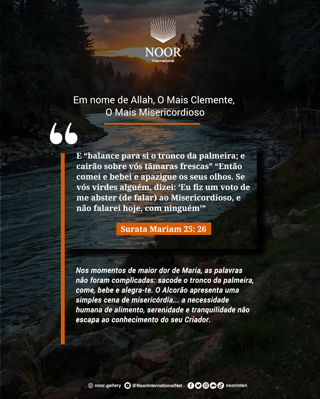 ​Nos momentos de maior dor de Maria, as palavras não foram."
