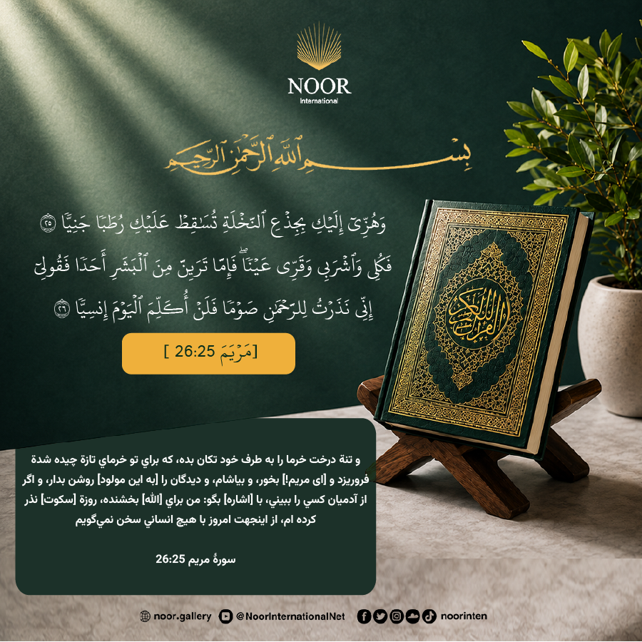 و تنة درخت خرما را به طرف خود تكان بده،"