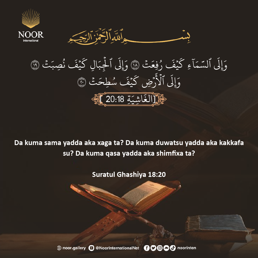 Shin ba sa duban raqumi yadda aka halicce shi?..