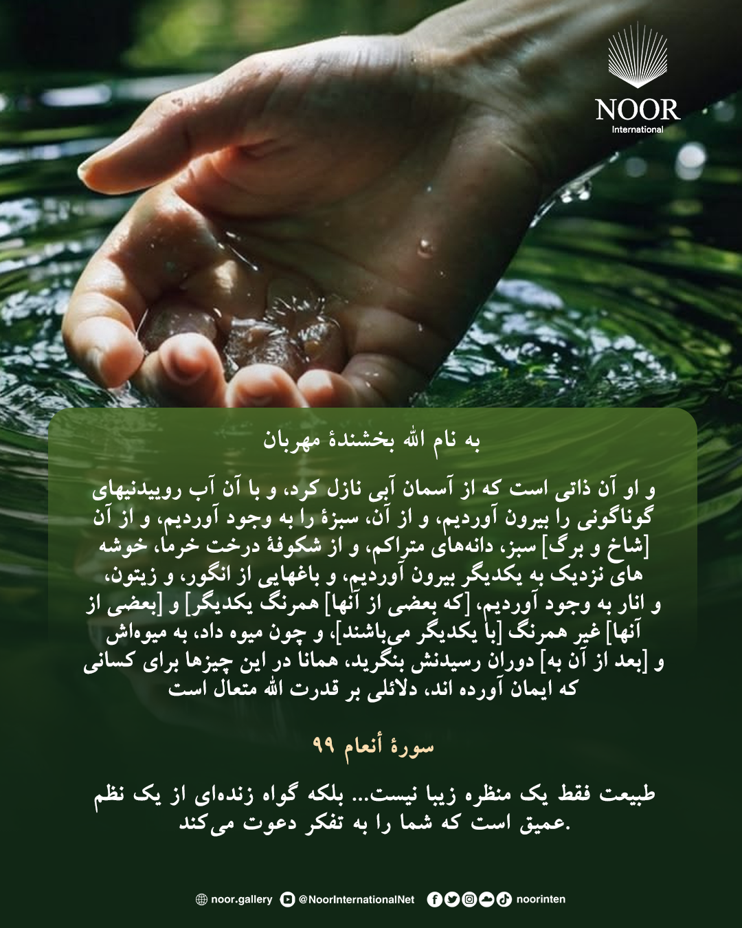 طبیعت فقط یک منظره زیبا نیست...