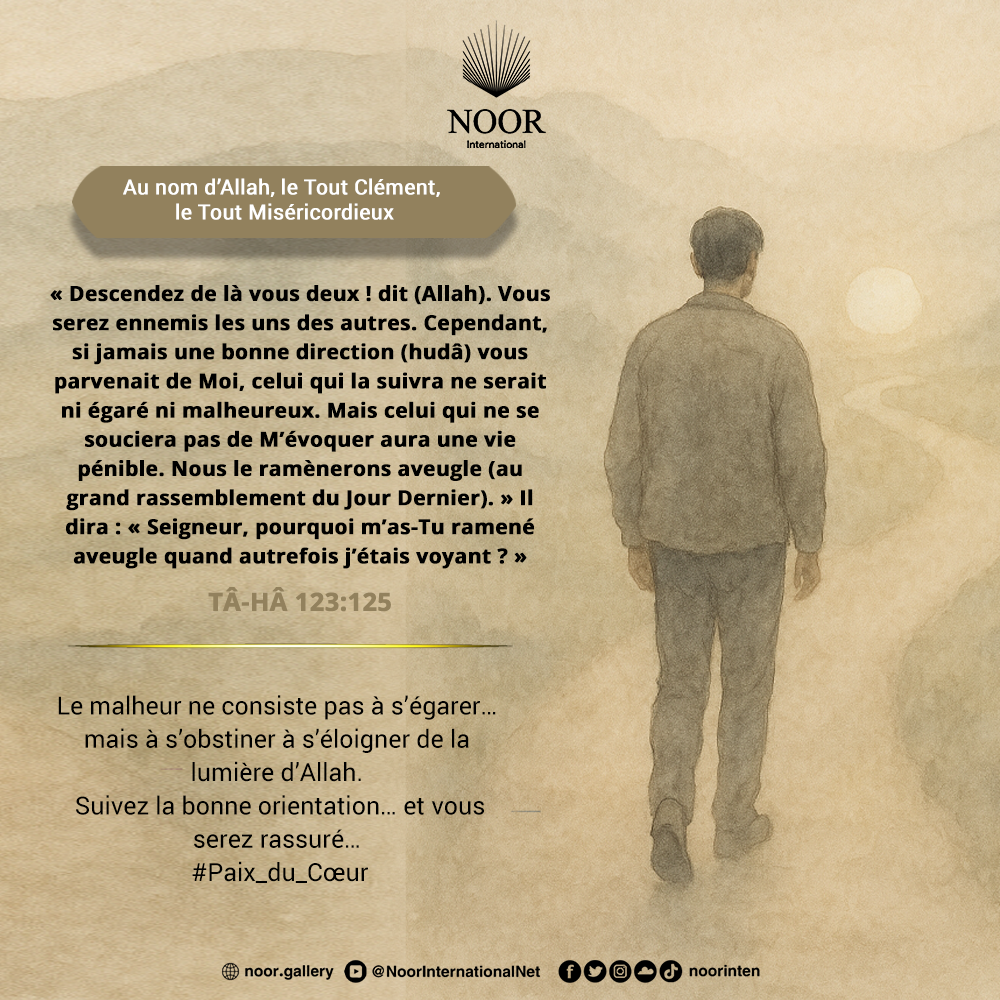 Le malheur ne consiste pas à s’égarer…