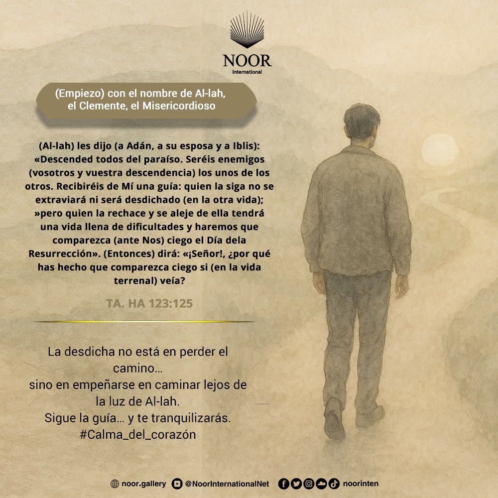 La desdicha no está en perder el camino…