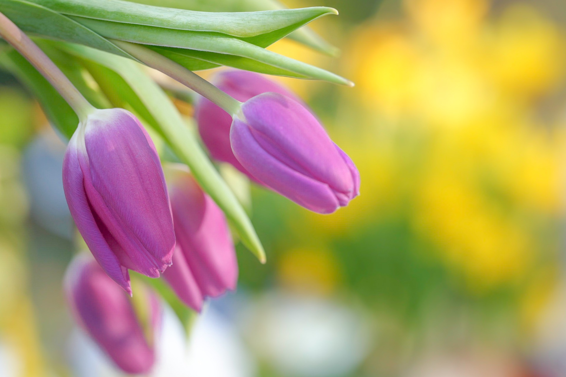 Una variedad de temas.