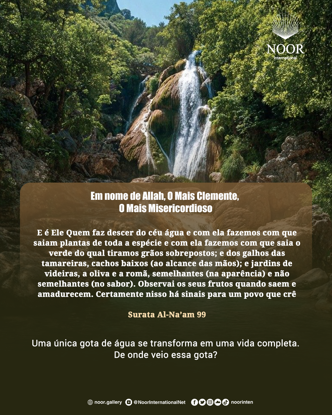 ​Uma única gota de água se transforma em uma vida completa.