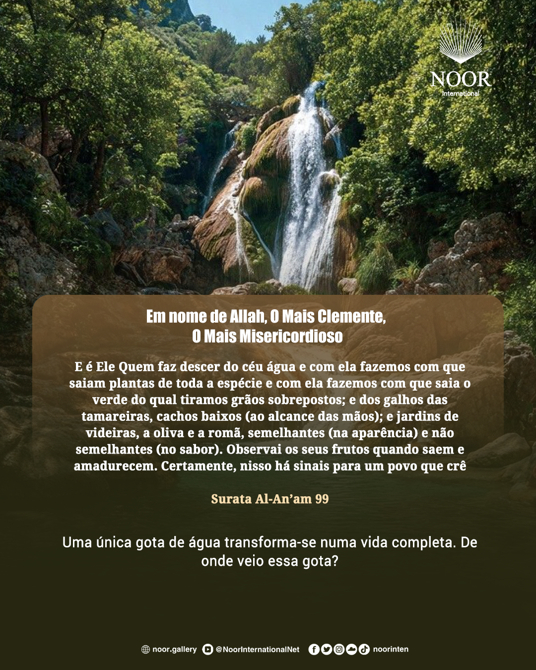 Uma única gota de água transforma-se numa vida completa.