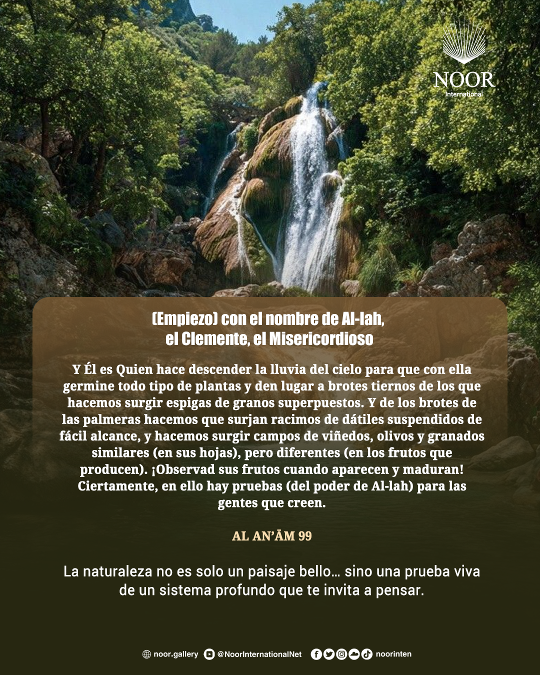 La naturaleza no es solo un paisaje bello…