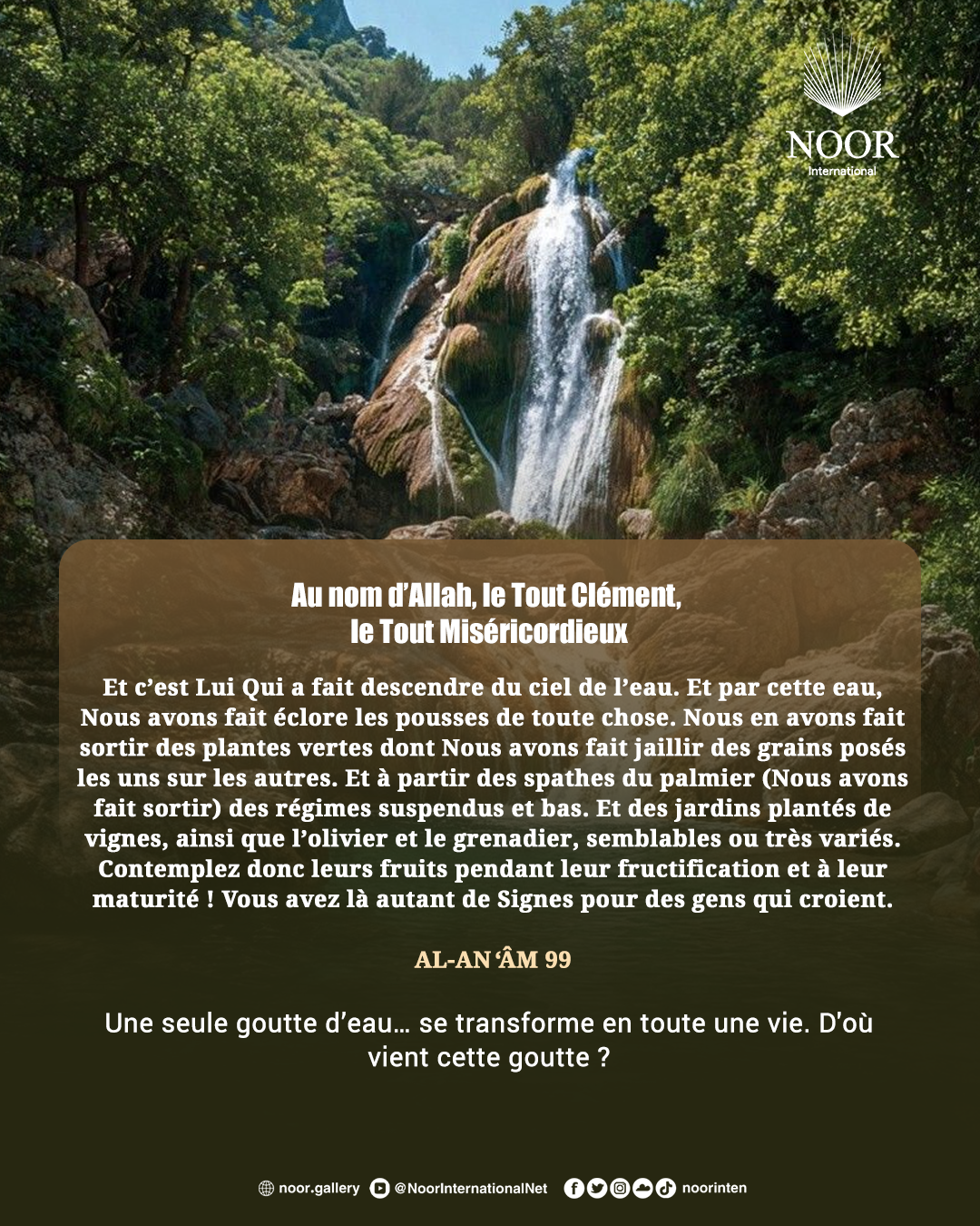 Une seule goutte d’eau… se transforme en toute une vie.