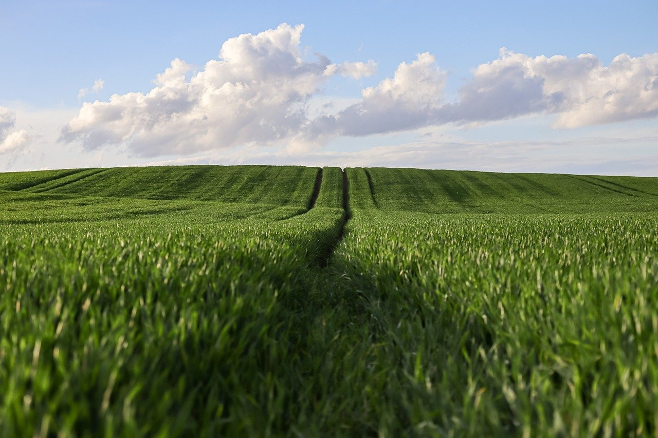 اسلام دینی از صداقت و مسئولیت